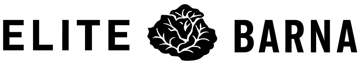 Elite Barna - Cliente destacado en soluciones tecnológicas